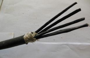 ATGTNS-FYS，ATGTNSP-FYS環(huán)保防蟻鼠電纜